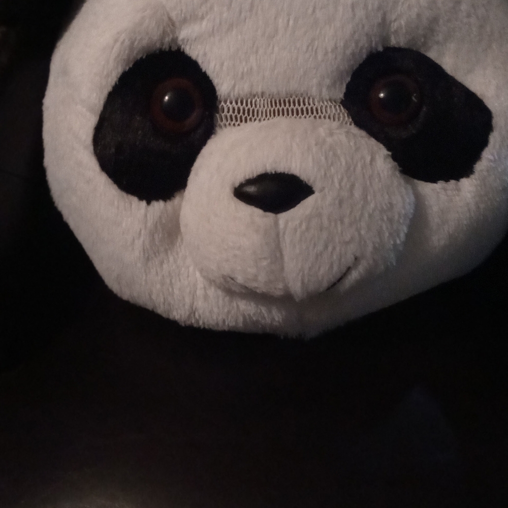 Adult Costume, Panda Bear With Matching Gloves, Full Body Zipped Up Suit